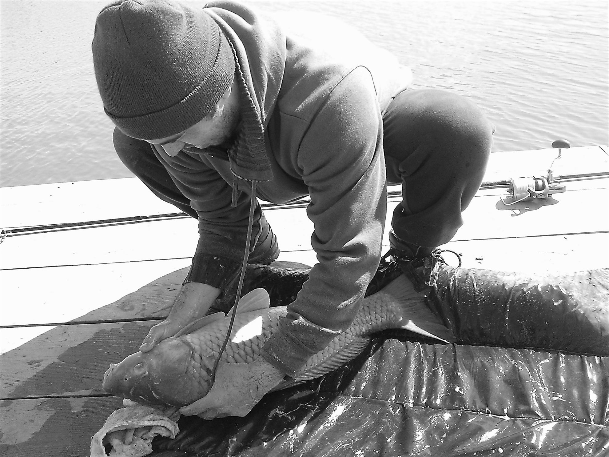 Fa-i poza daca poti... - wp201303230431.jpg